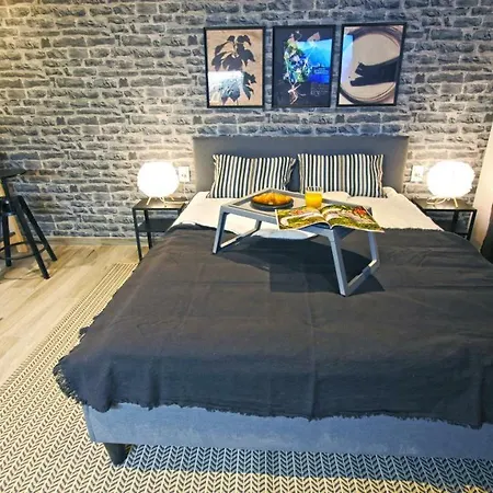 Frank-Kiss Apartments Rijeka Exterior photo